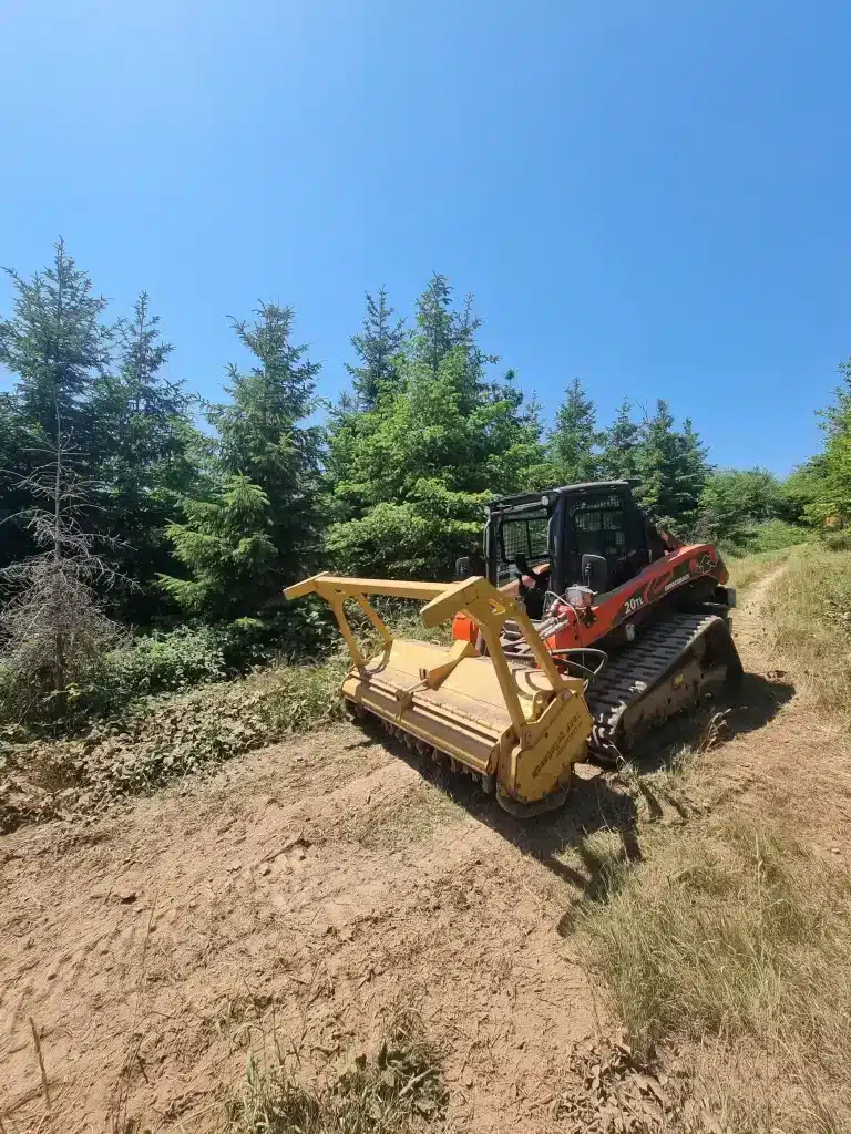 Utilisation d'une chargeuse pour le défrichage en forêt.