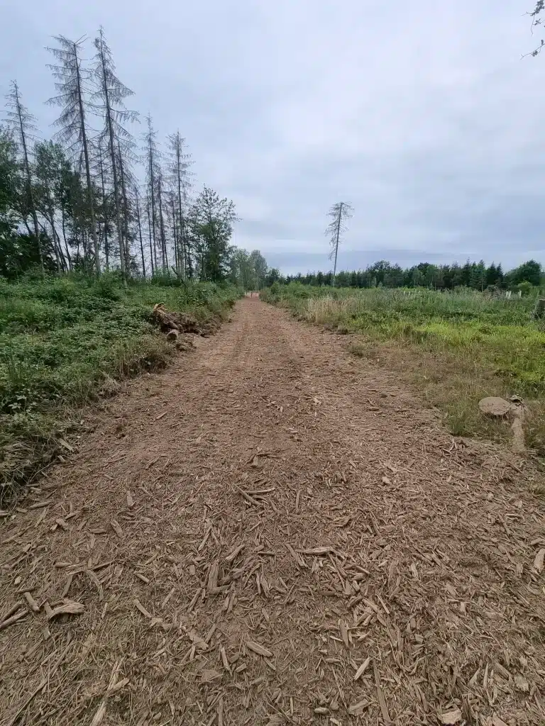 Réalisation de travaux forestiers au Luxembourg.