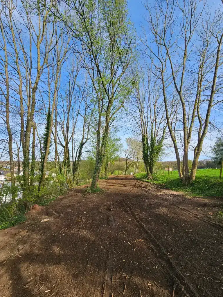 Waldpflege im Großherzogtum Luxemburg.