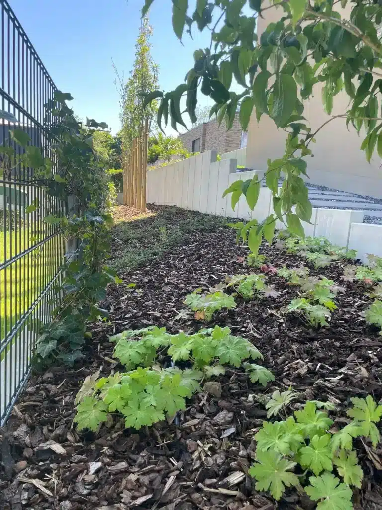 Gartengestaltung mit dekorativem Mulch um einen Steinweg.