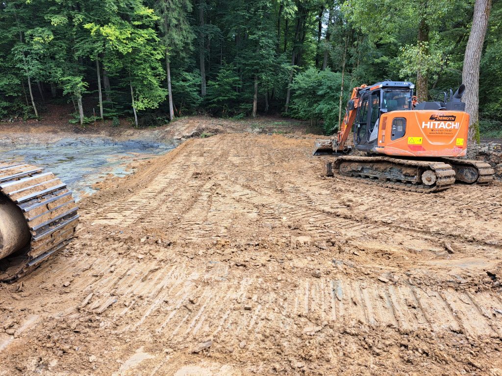 Location de pelle pour travaux forestiers.