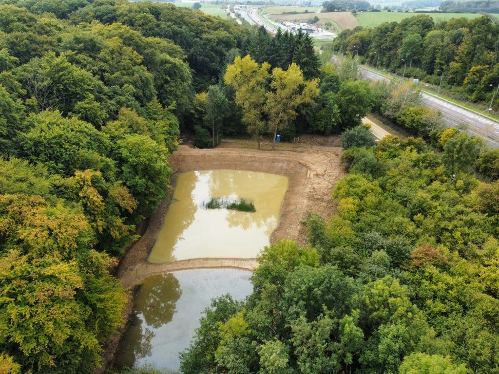 Réalisation de travaux d'excavation en milieu forestier à Leudelange.